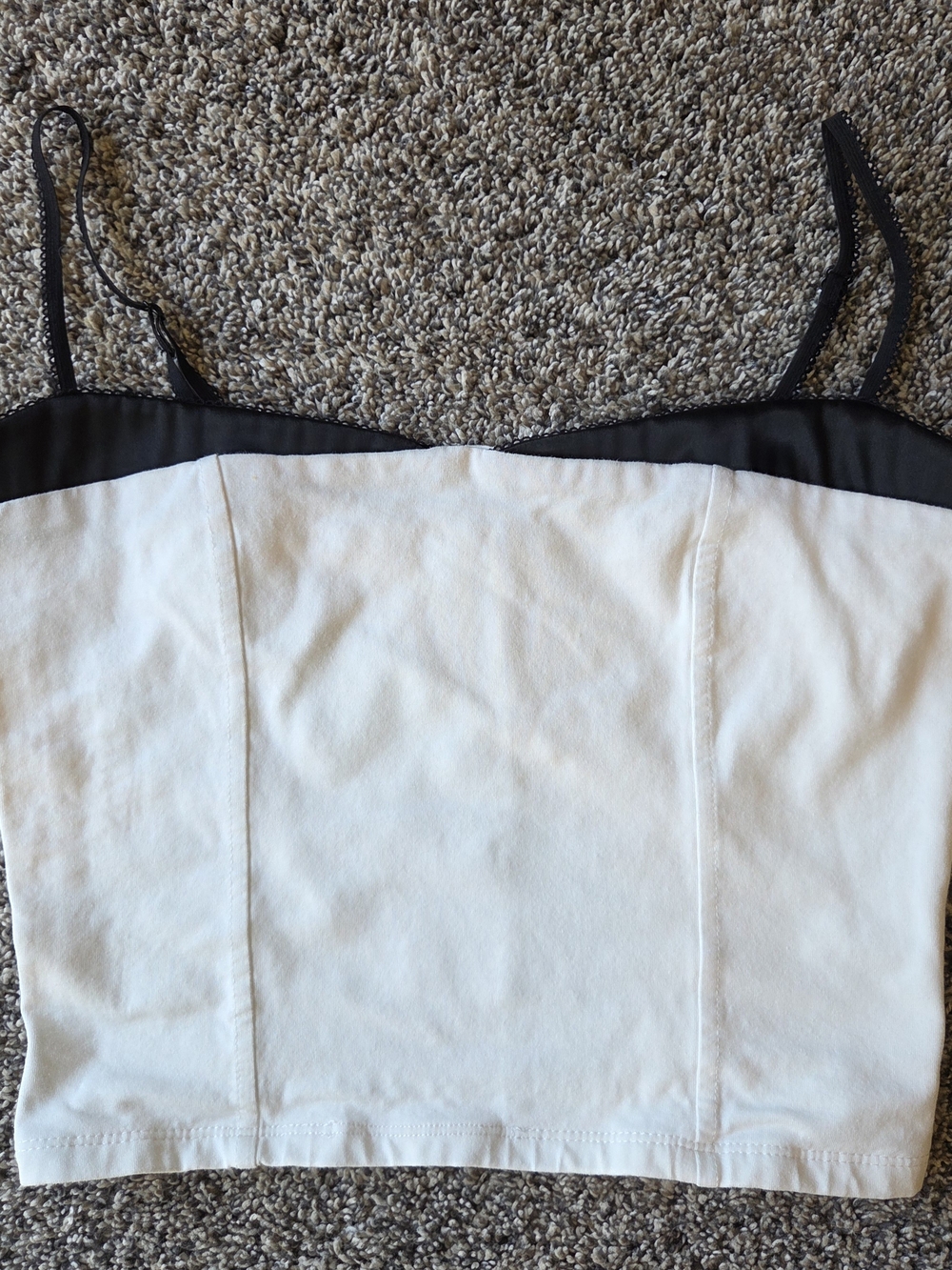 Altar'd State White Crop Cami with Black Trim
